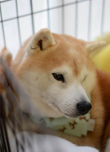 9日ブログ12.jpg
