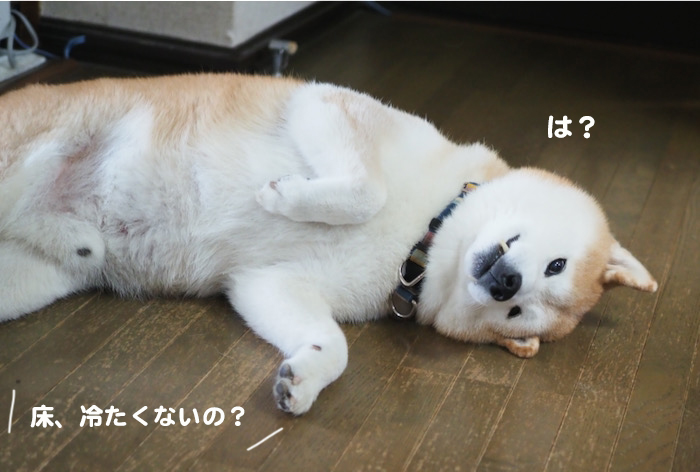 5日ブログ２