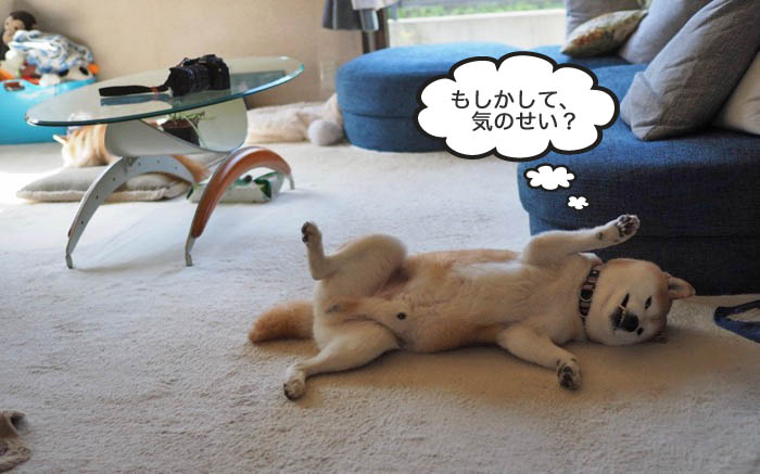 23日午前ブログ１