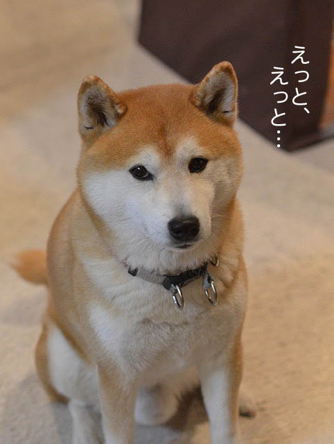 27日ブログ3