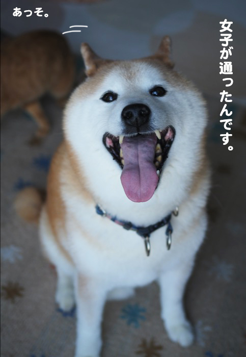 17日夕ブログ8