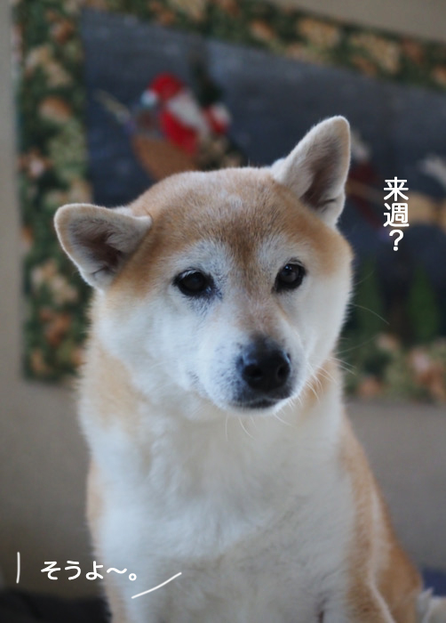 18日夜ブログ２