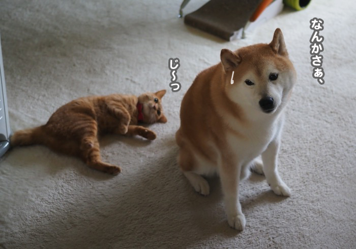 14日夕ブログ２