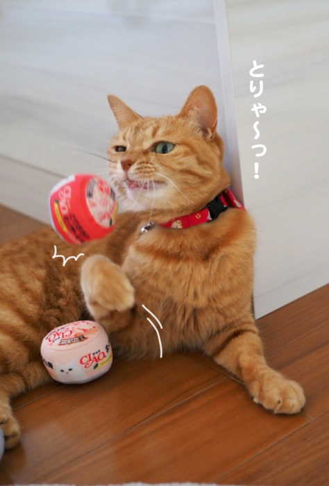 8日夕ブログ１１