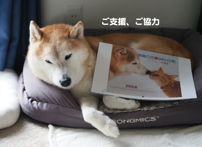 23日夕ブログ７