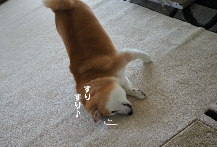 30日ブログ１