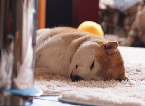 28日ブログ6.jpg