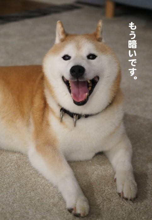 2日ブログ２