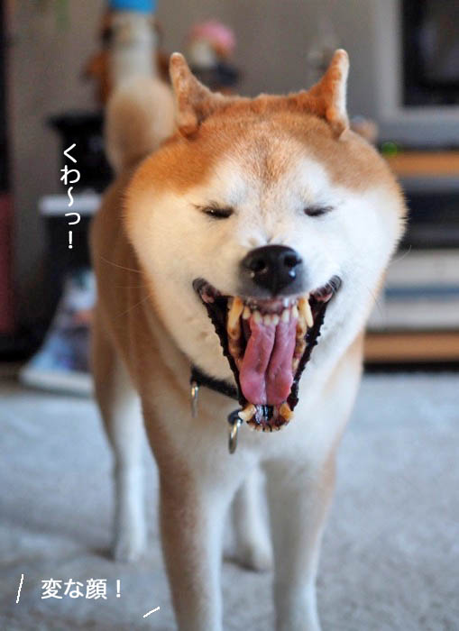 10日夜ブログ７
