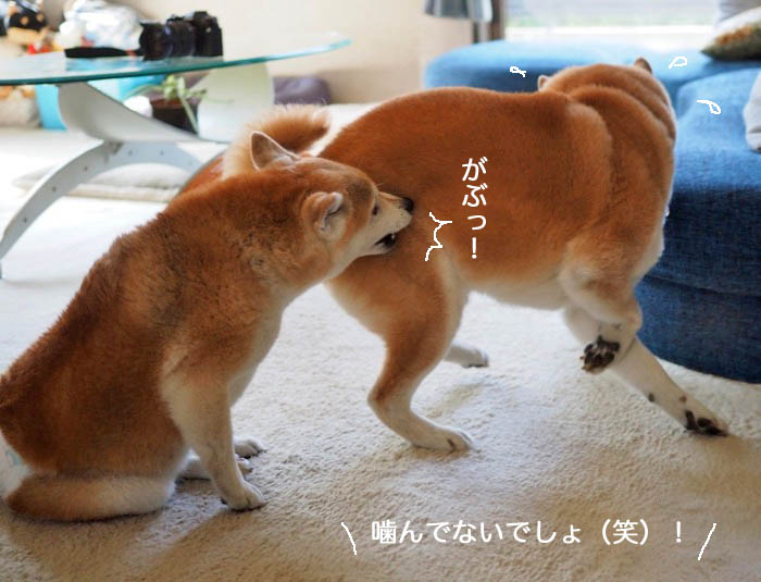 23日午前ブログ１２