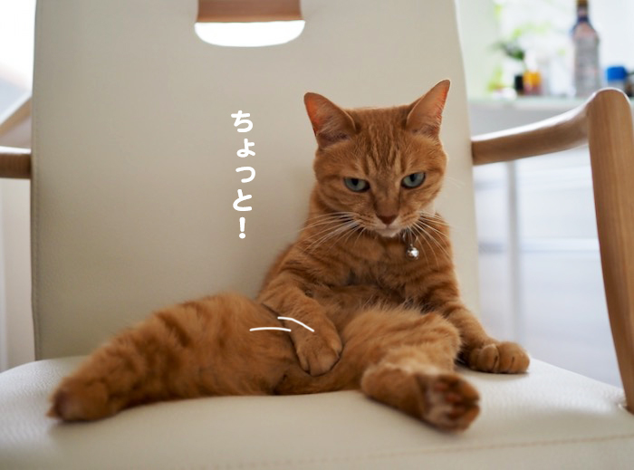 14日夕ブログ７