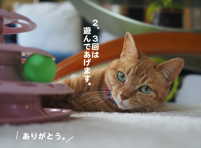 15日夕ブログ９