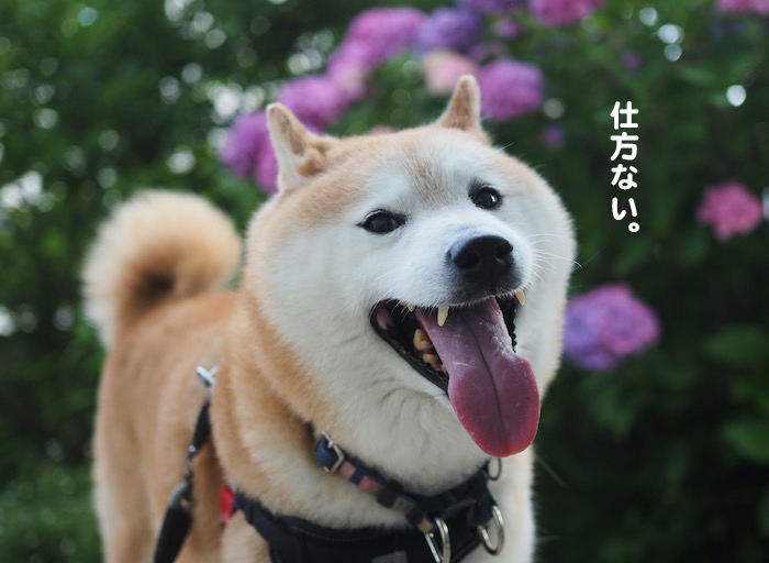 26日ブログ４