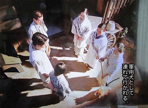 29日ブログ2.jpg