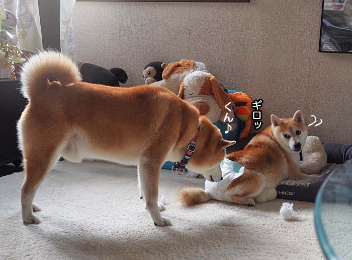 4日夜ブログ４