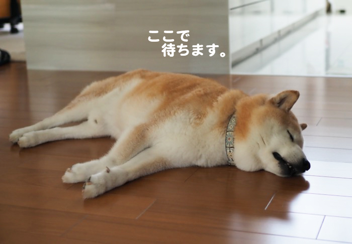 21日夕ブログ６