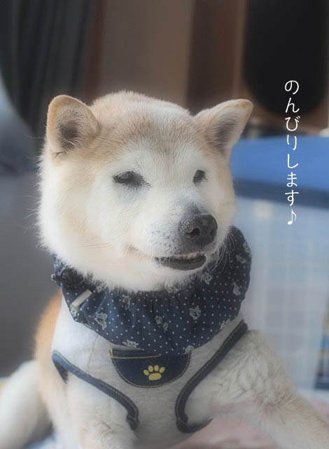 21日ブログ2