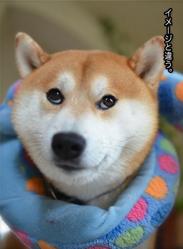 23日ブログ6.jpg
