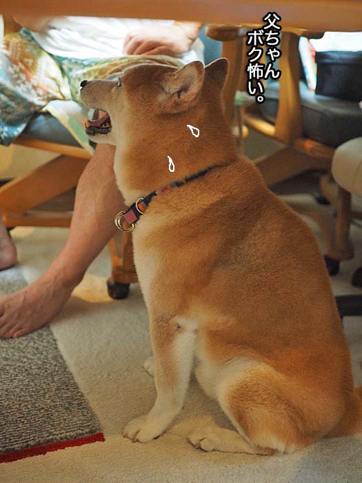 10日夜ブログ４