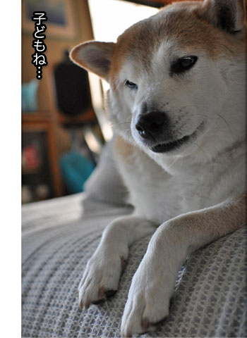 14日ブログ9.jpg