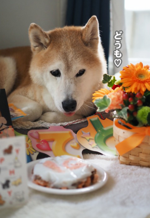 23日夕ブログ６