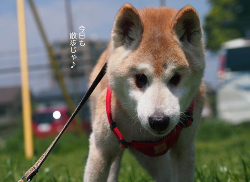 30日ブログ5.jpg