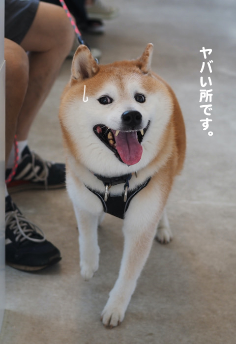 1日夕ブログ５