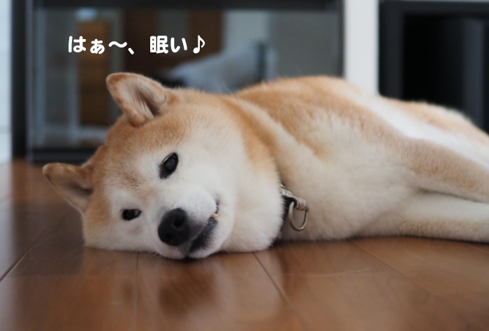 8日夕ブログ２