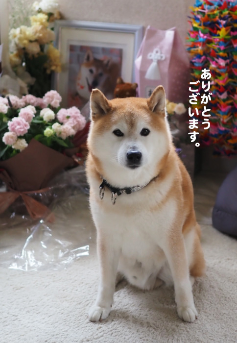 7日午後ブログ２