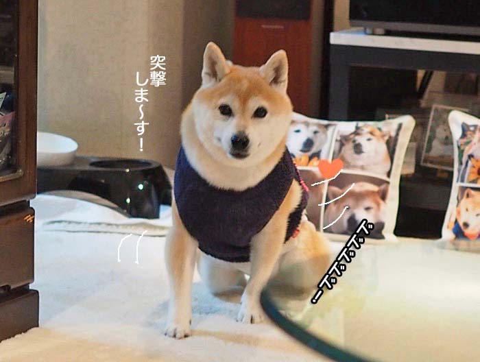 29日ブログ２