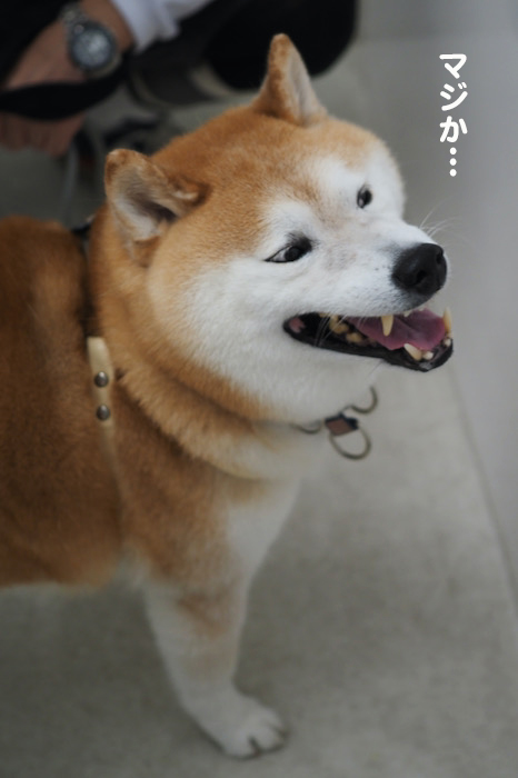 7日ブログ６