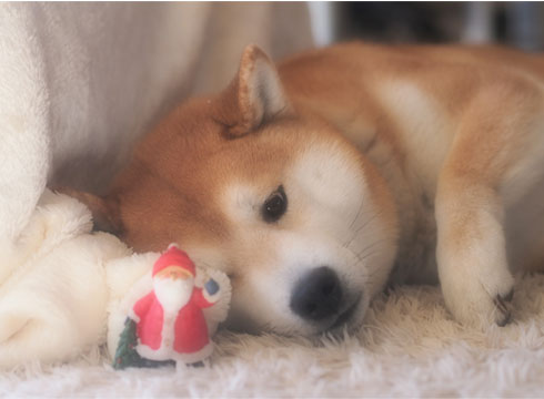 24日ブログ14.jpg
