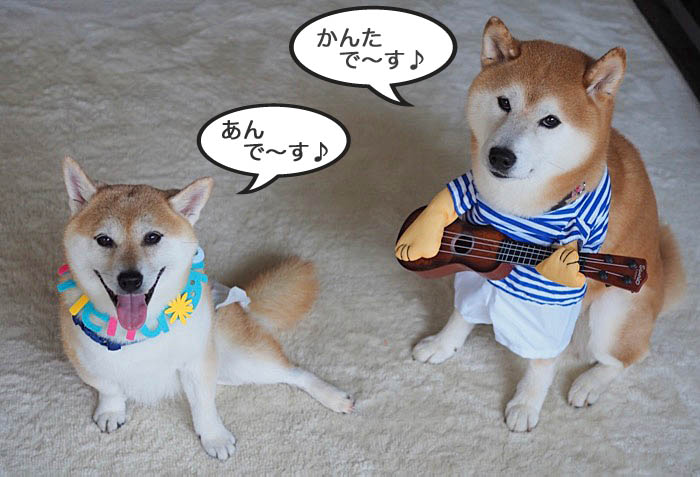 18日ブログ４
