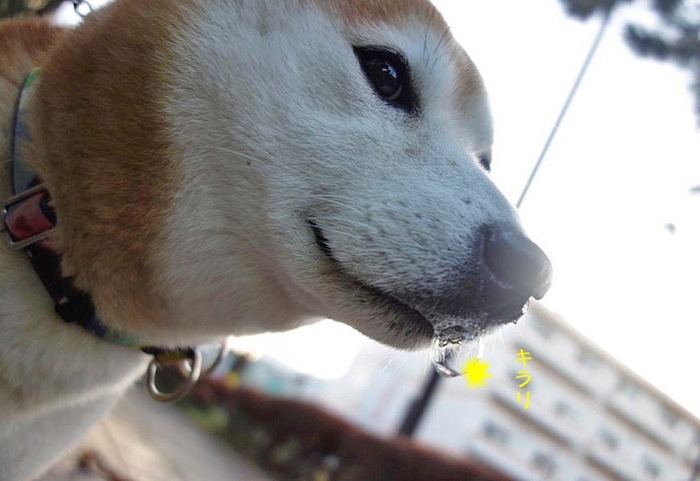 27日ブログ6