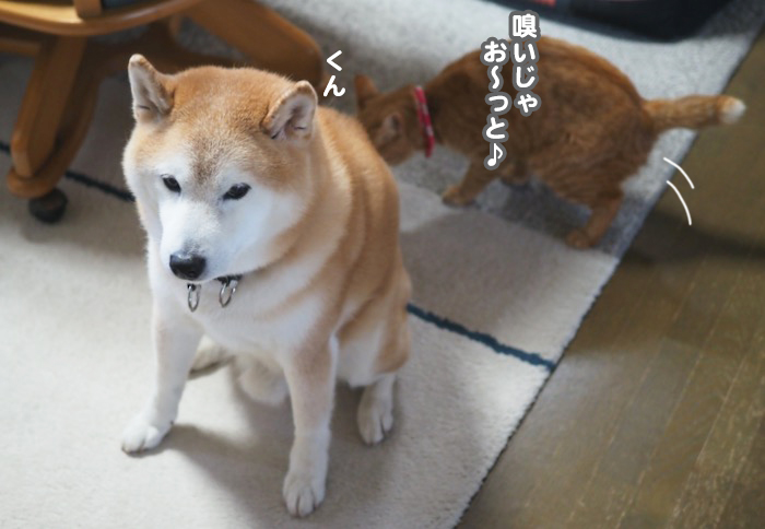 21日夕ブログ７