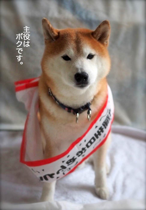 24日夜ブログ３