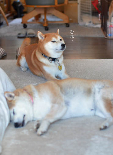 17日ブログ7.jpg