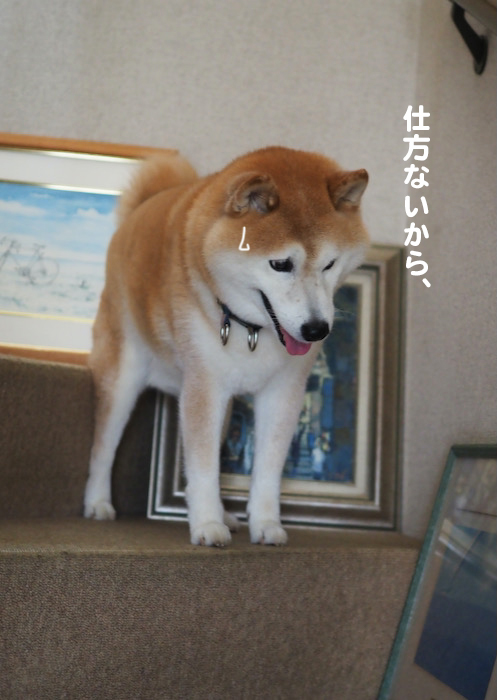 20日夕ブログ１３