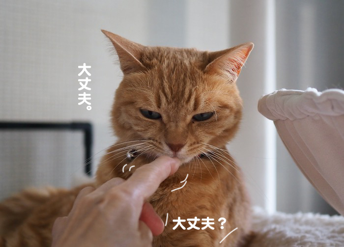 25日夕ブログ３