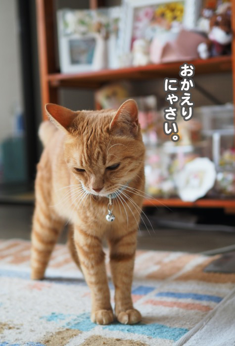 13日ブログ２