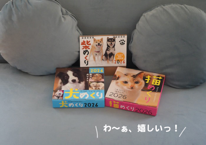 12日夕ブログ２
