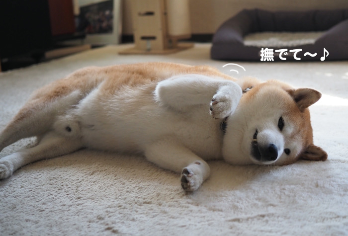 14日ブログ１