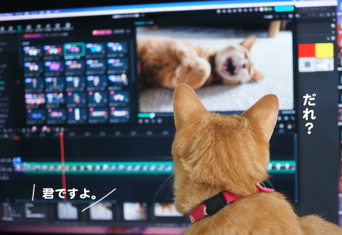 16日夕ブログ2