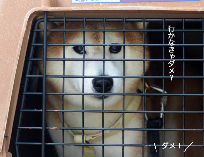 24日ブログ３