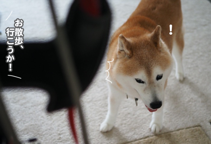19日ブログ１