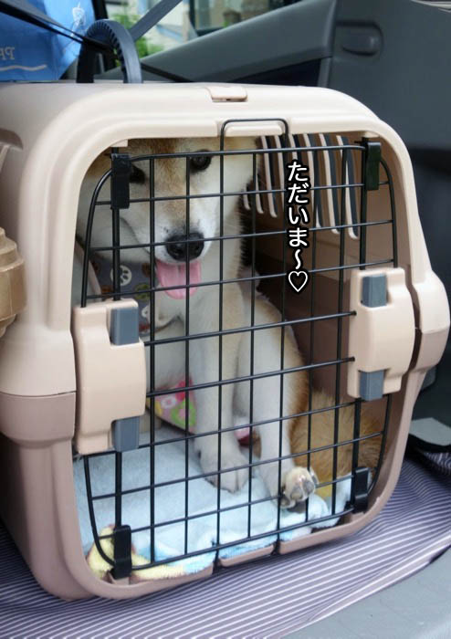 13日午後ブログ１２