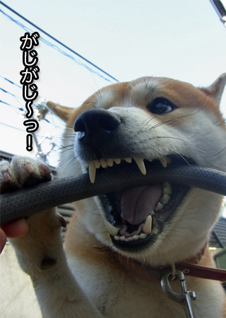 28日ブログ6.jpg