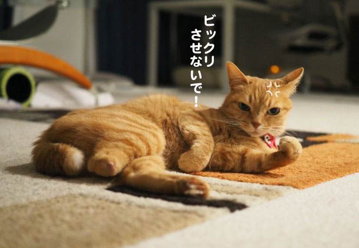 7日ブログ4