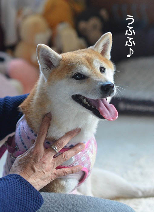 13日ブログ4