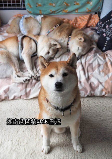 5日ブログ3